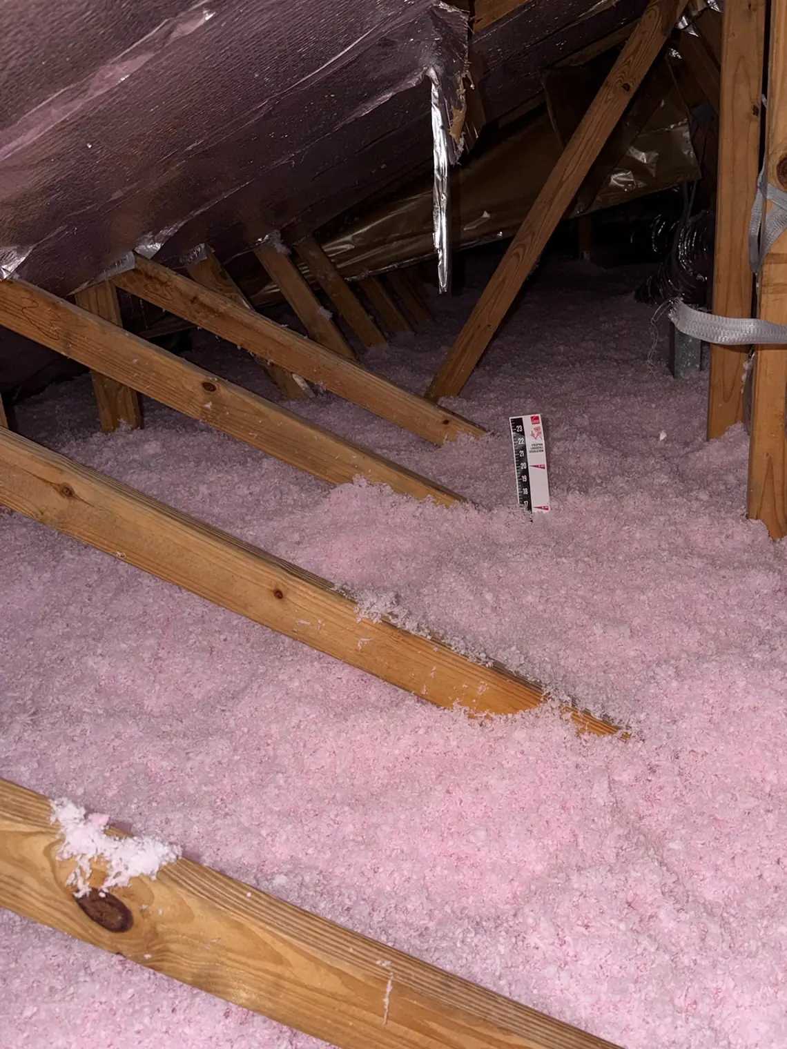 A depth ruler standing in freshly blown pink fiberglass between attic trusses